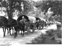 I “tedeschi del Mar Nero” in fuga dall'Armata Rossa verso Ovest (luglio 1944).