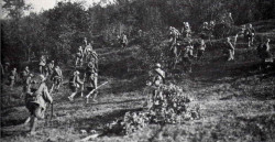 Truppe italiane in movimento sul Montello - linea del Piave 1918.