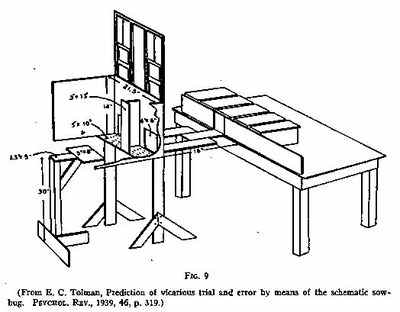 Cognitive Maps in Rats and Men (Edward C. Tolman, 1886–1959).