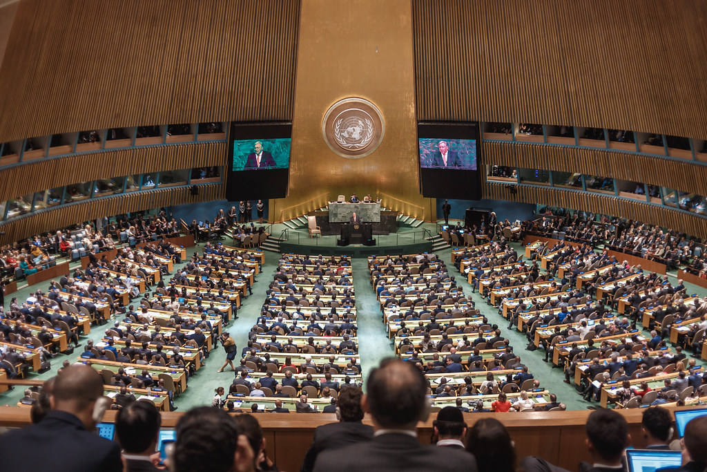 Immagine 1. LAssemblea generale delle Nazioni Unite New York