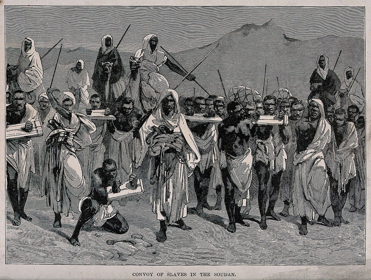 Immagine 10. Convoy of slaves in the Soudan
