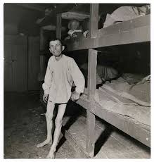 SECONDA GUERRA MONDIALE FOTOGRAFIE BOURKE WHITE LEE MILLER IMMAGINE 12