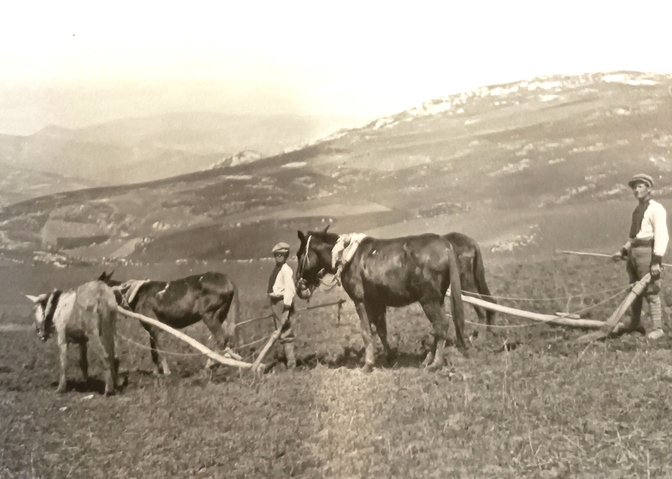 MONDO CONTADINO FOTOGRAFIE 1