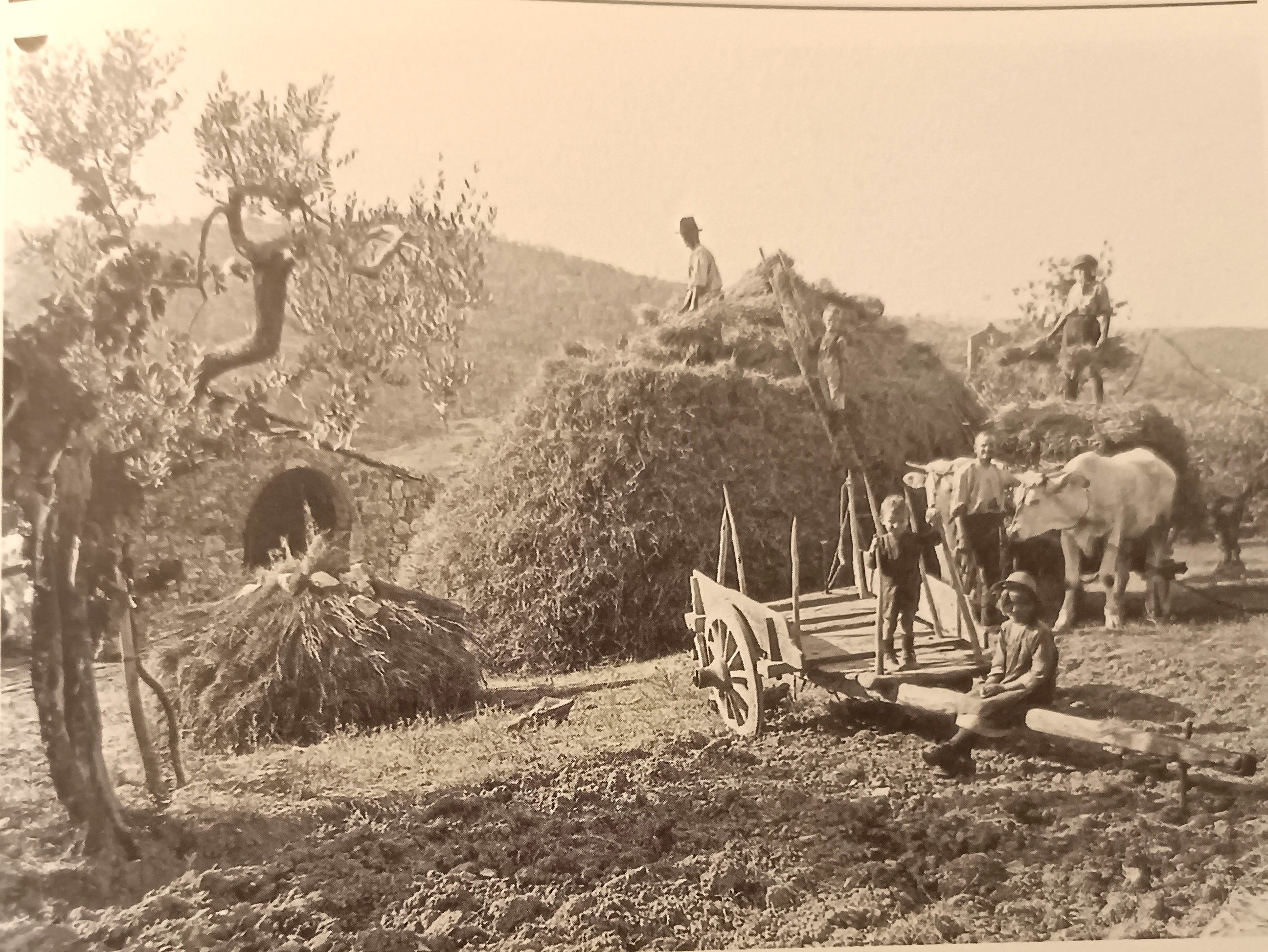 MONDO CONTADINO FOTOGRAFIE 10