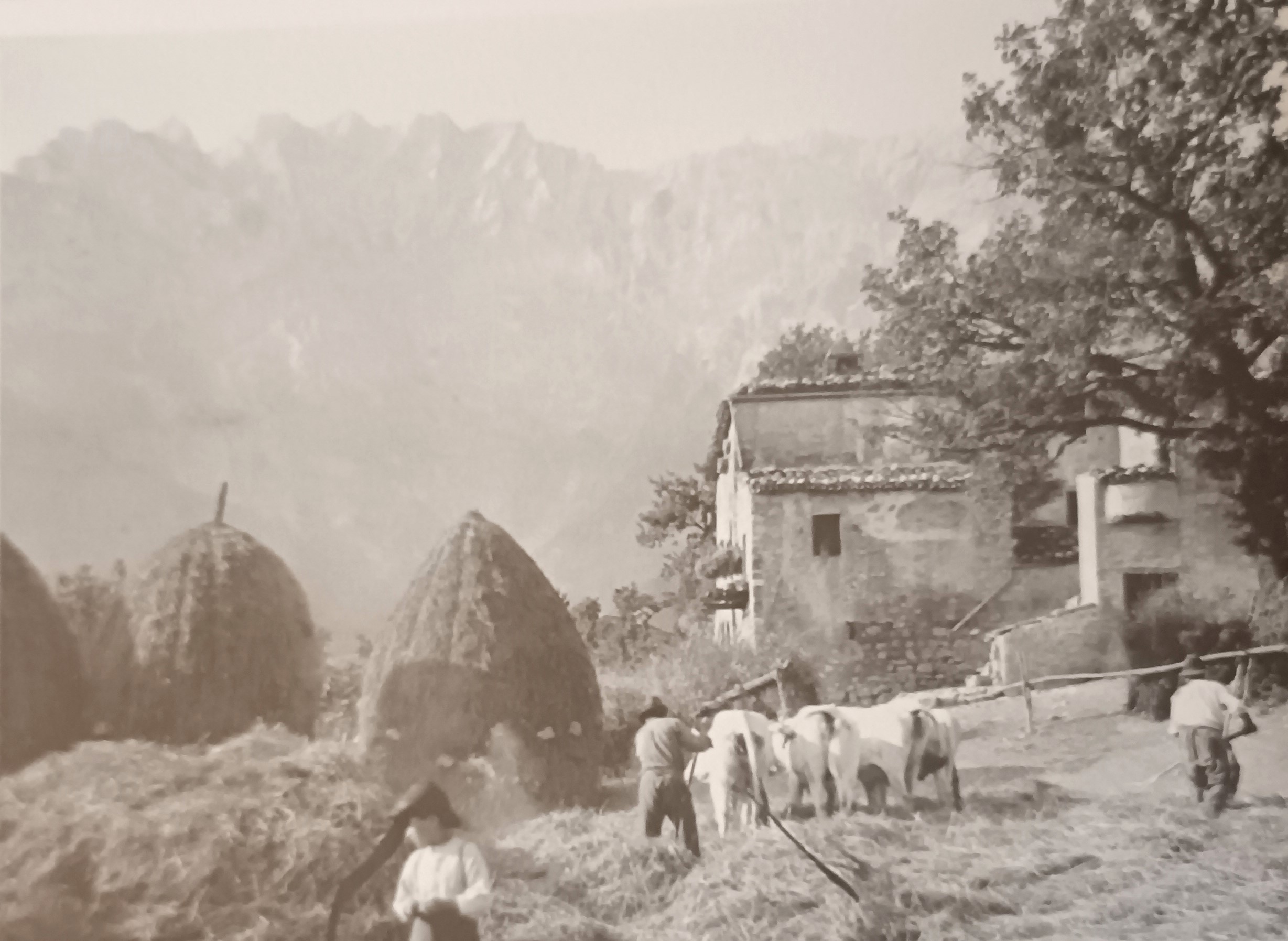 MONDO CONTADINO FOTOGRAFIE 12