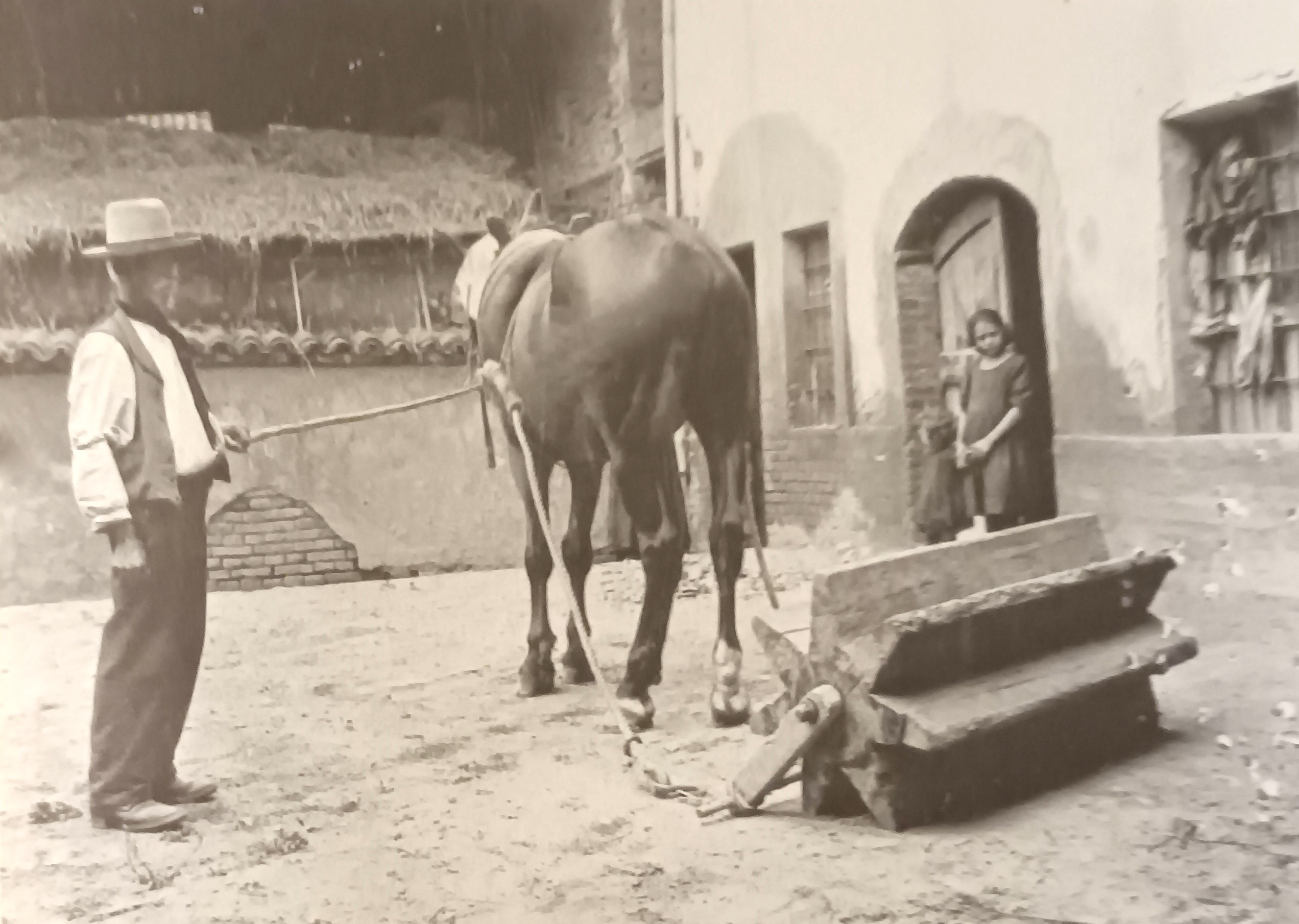 MONDO CONTADINO FOTOGRAFIE 13