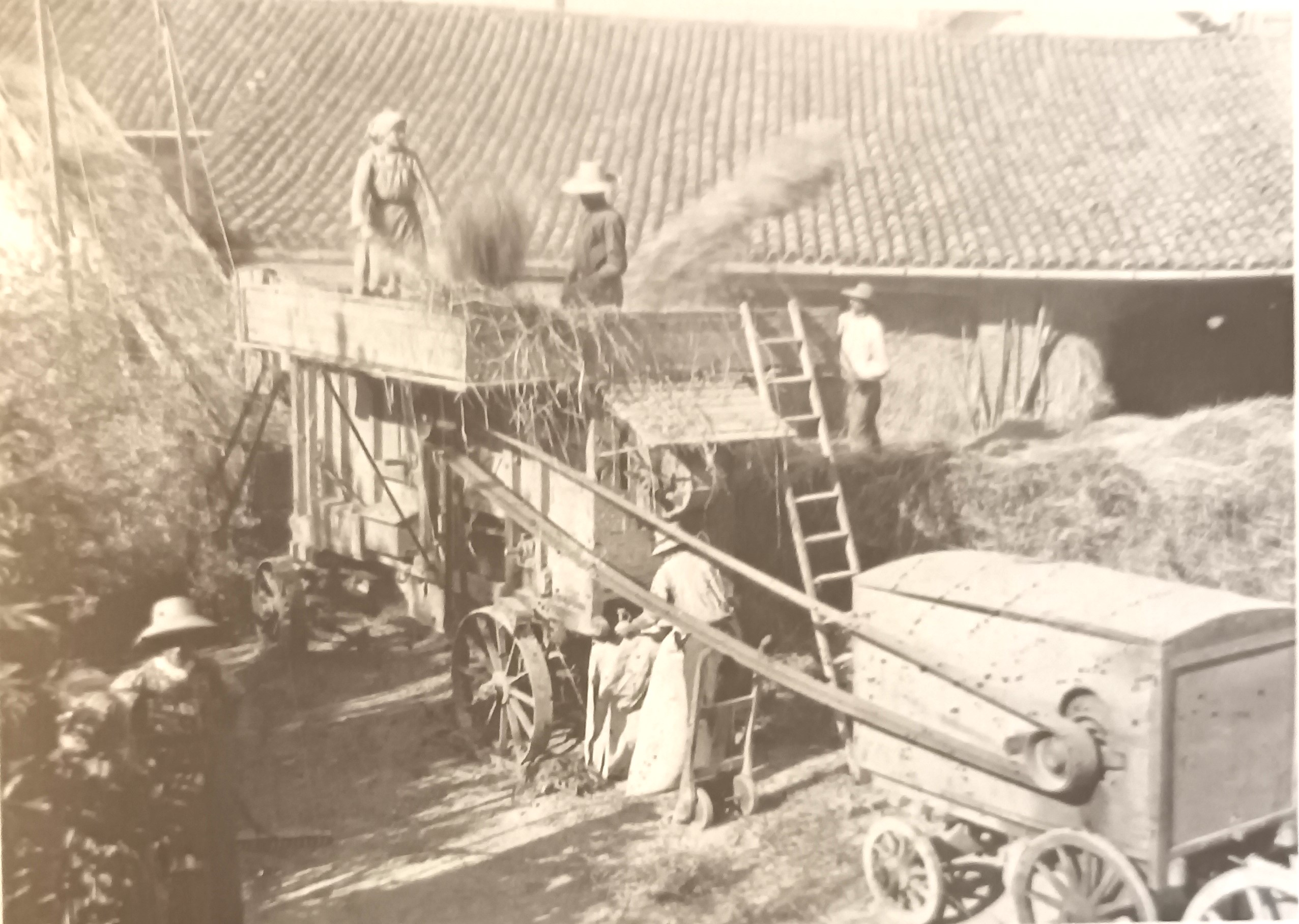 MONDO CONTADINO FOTOGRAFIE 14