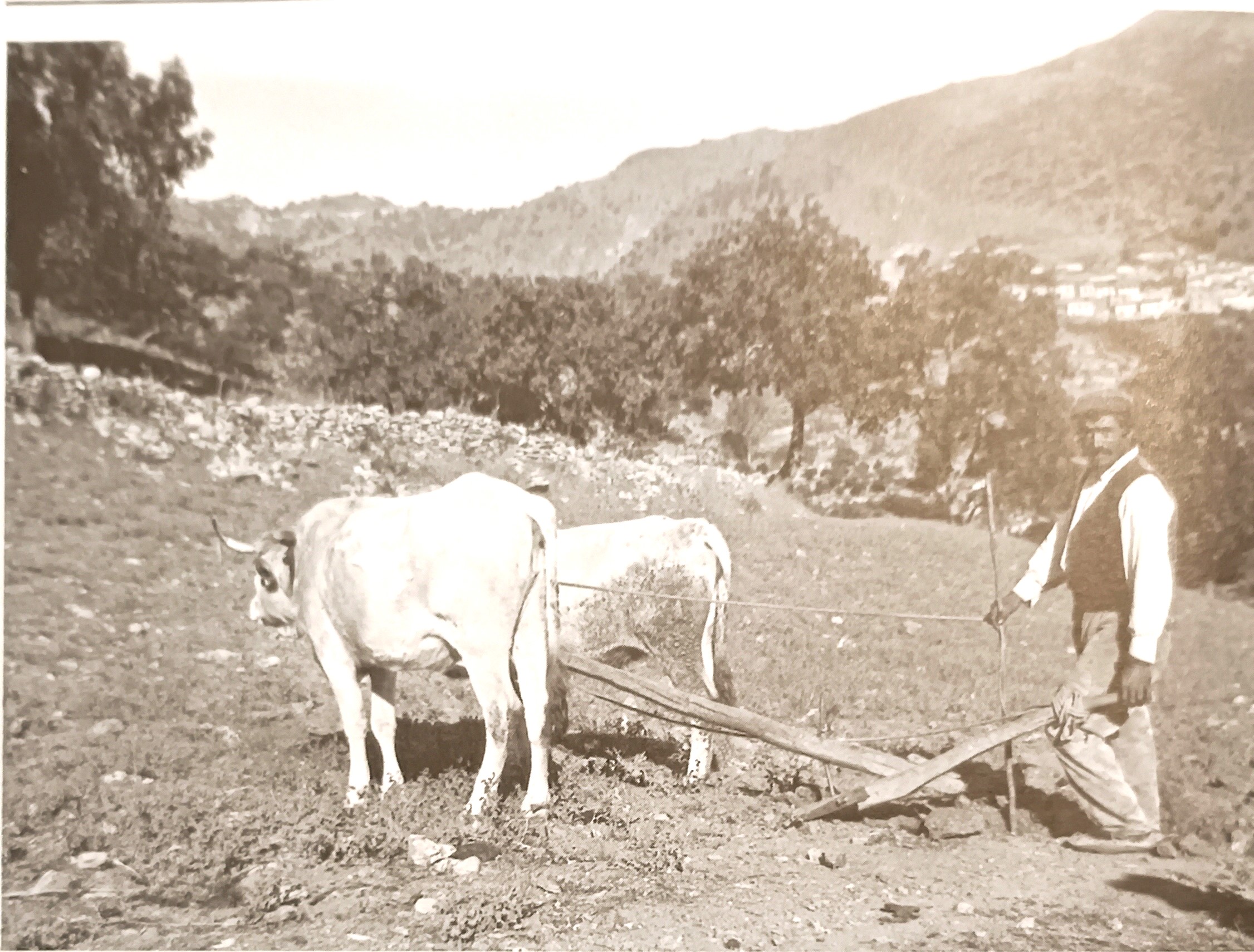 MONDO CONTADINO FOTOGRAFIE 2