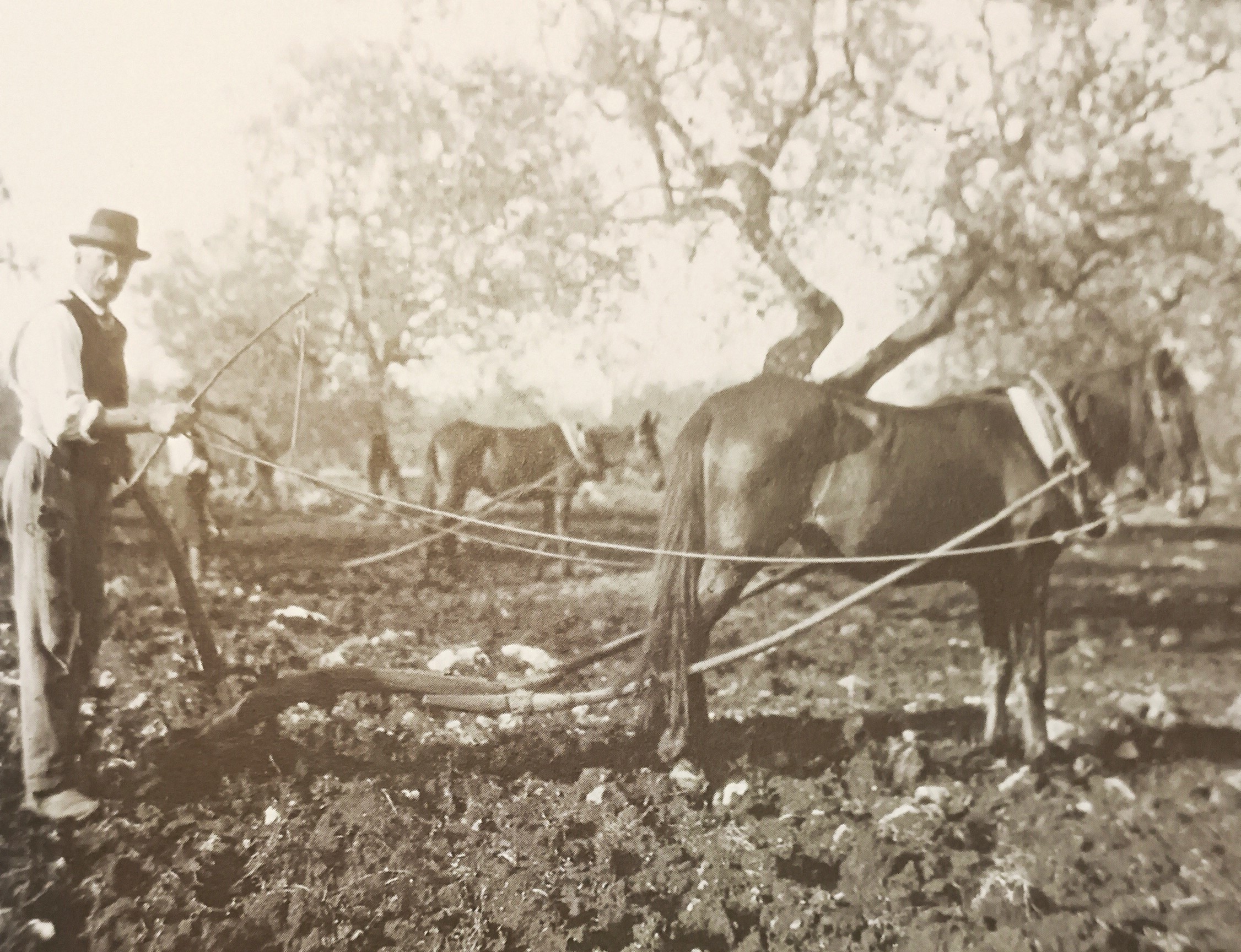 MONDO CONTADINO FOTOGRAFIE 3