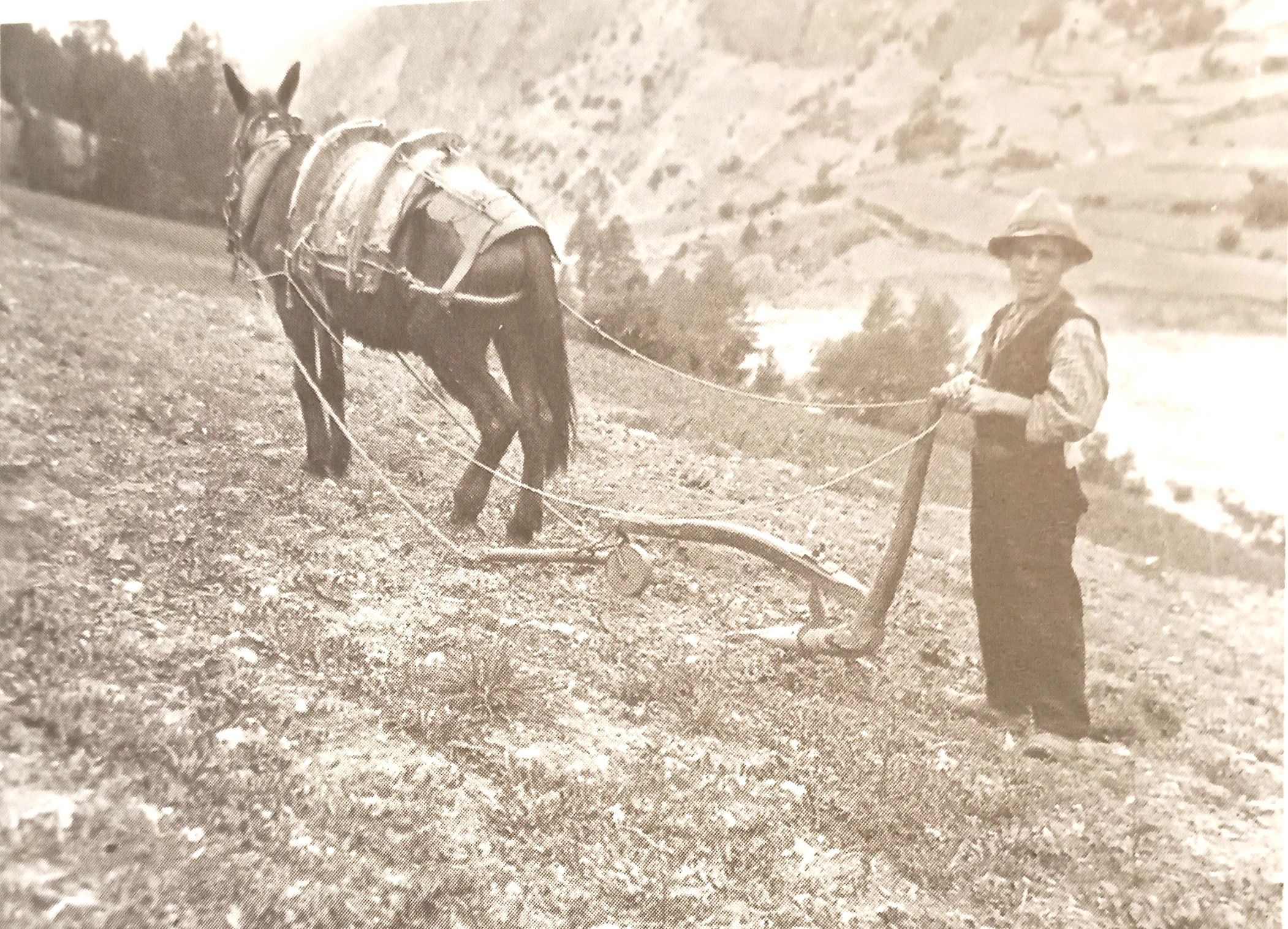 MONDO CONTADINO FOTOGRAFIE 6