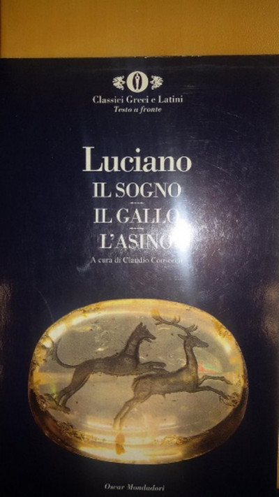 Immagine2